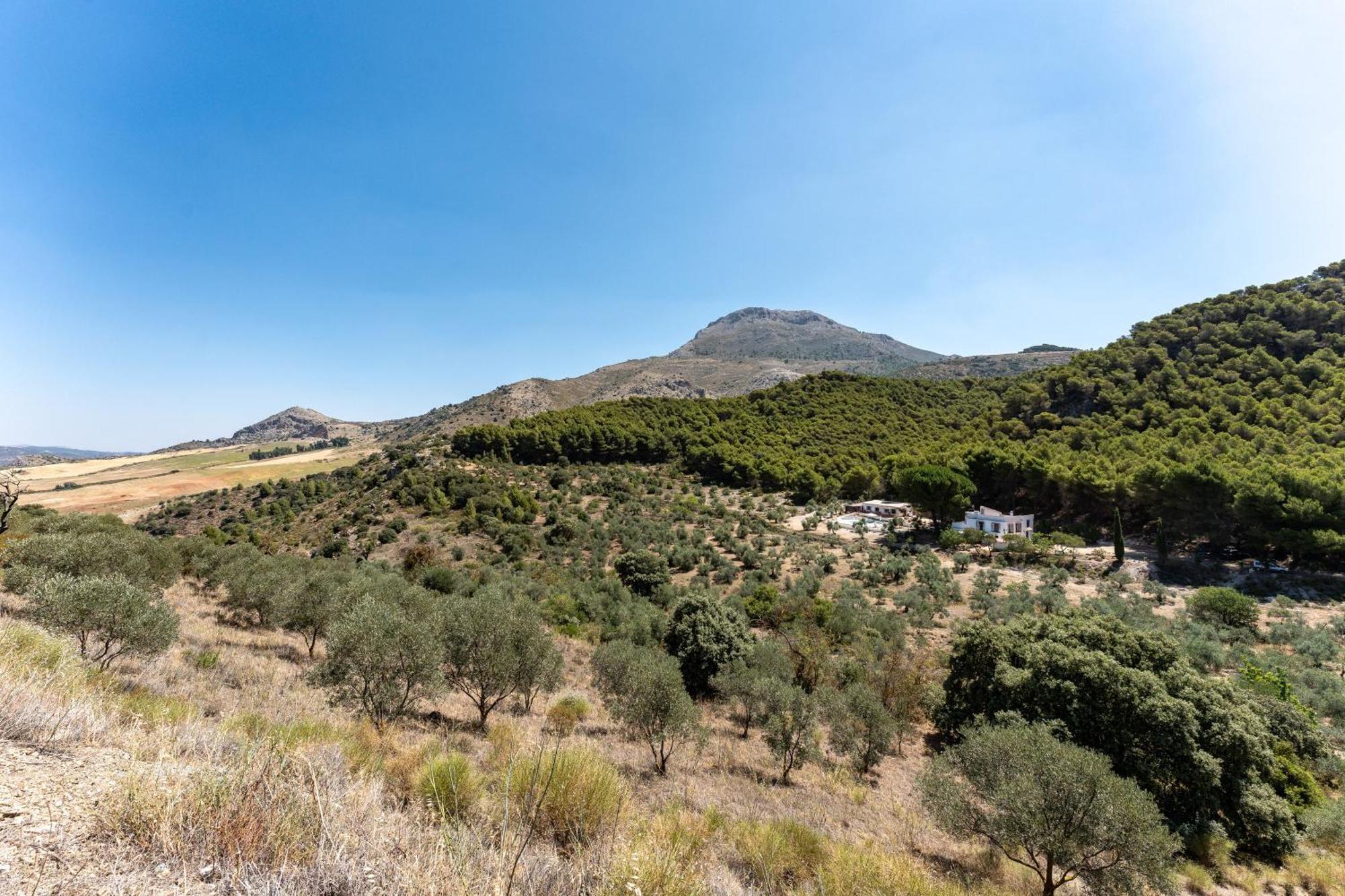Cortijo La Zahurdilla Yunquera المظهر الخارجي الصورة